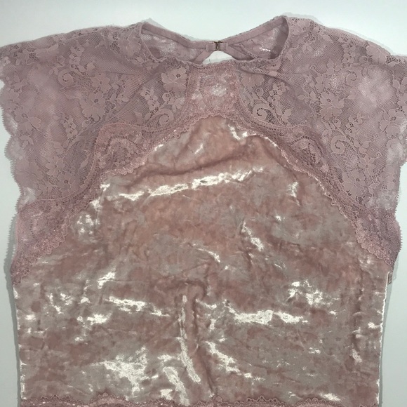 Victoria's Secret Crushed Velvet Teddy Pink - Picture 12 of 15